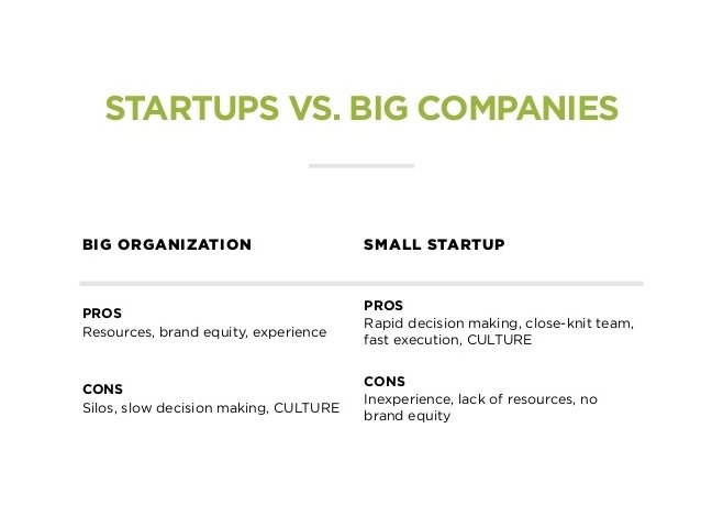 Startups vs Established Business