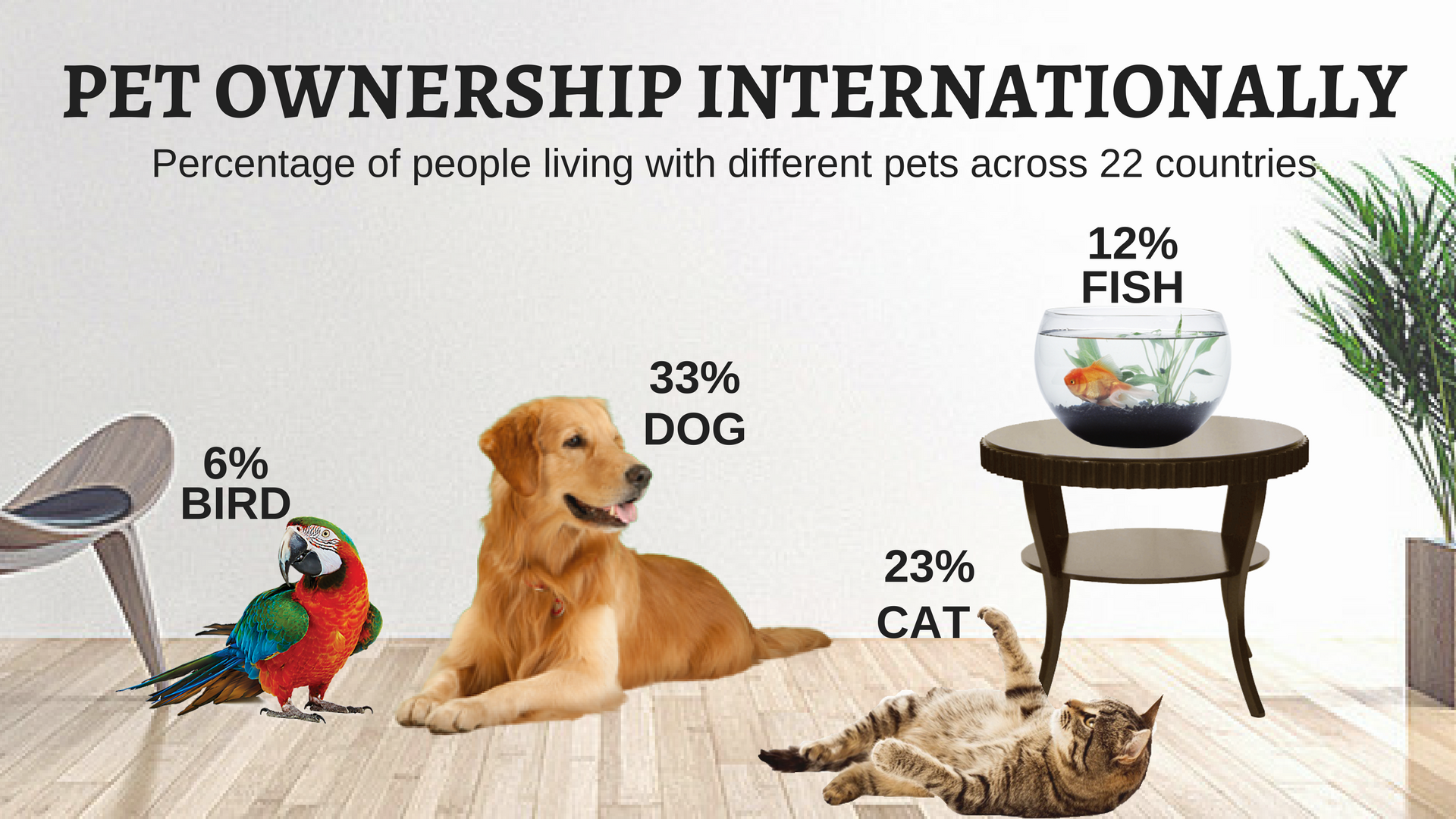 Pet ownership internationally