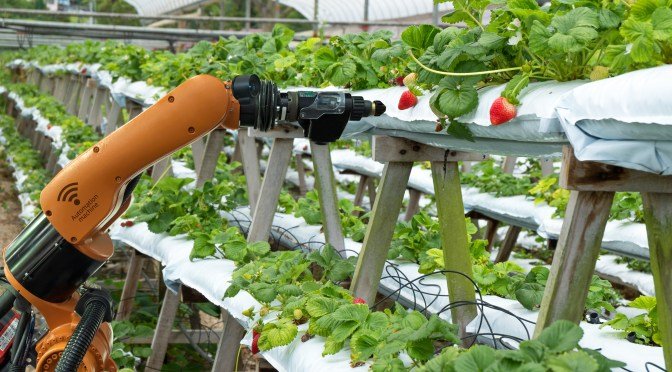 Robots monitoring crop quality