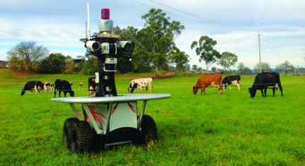 Cattle Monitoring